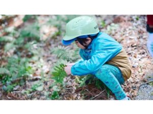 【神奈川県相模原市】五感で秋の自然の魅力を味わう「さがみ湖MORI MORI 秋の生き物探検ツアー」開催 - STRAIGHT PRESS[ストレートプレス]