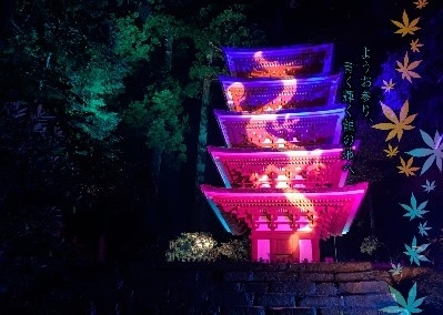 国宝五重塔に青龍が降臨！ 室生寺の紅葉ライトアップが見頃 | NEWSCAST