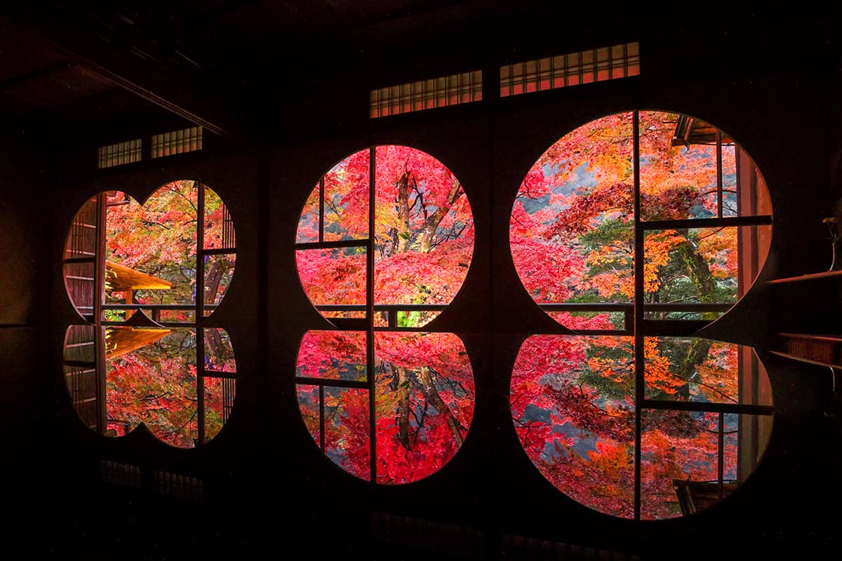 絵画のような紅葉特集top