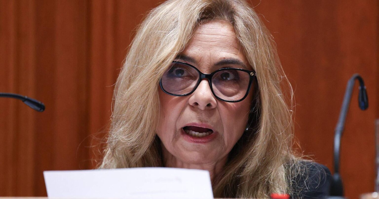 大臣は、病院外での出産の大部分は「新しくポルトガルに到着した」妊娠中の移民によるものであると述べた