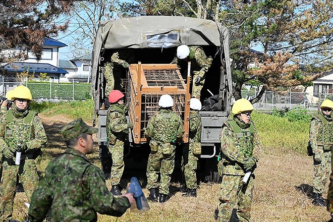 クマ対策、秋田が自衛隊派遣要望　被害50人超 | 朝日ウイークリーデジタル(Asahi Weekly DIGITAL)日本語解説付きで読めて聴ける英字新聞