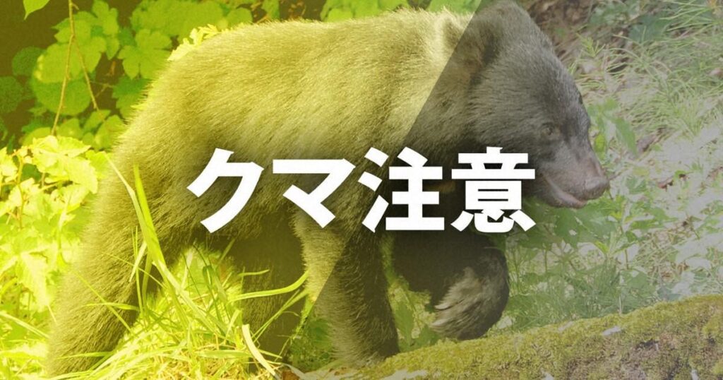 群馬・藤岡でハンターの60歳がクマに襲われ意識不明 狩猟解禁初日