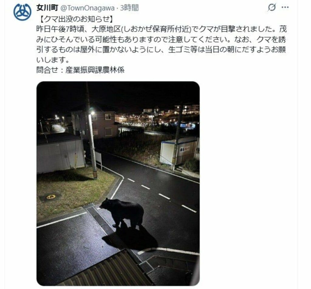 町が公式Xに投稿のクマ画像「生成AIフェイク」だった 注意喚起もその後 偽物と判明「作成者本人から申し出」　宮城・女川町