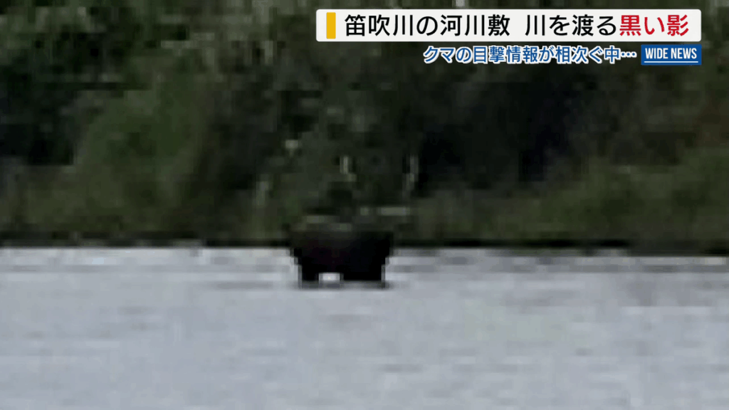 山梨放送