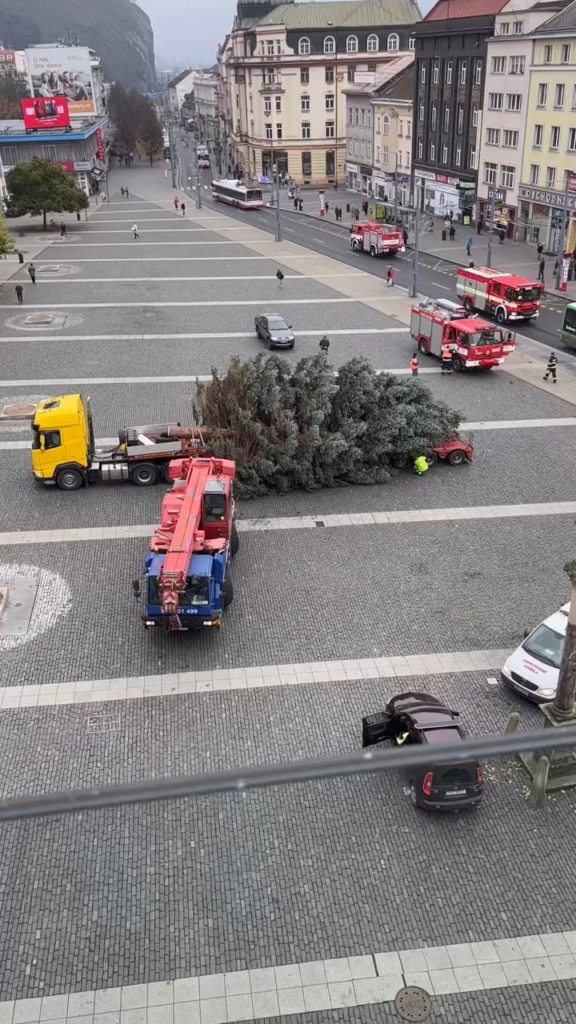 ウスティ・ナド・ラベムには誰も存在したくない、クリスマスツリーさえも