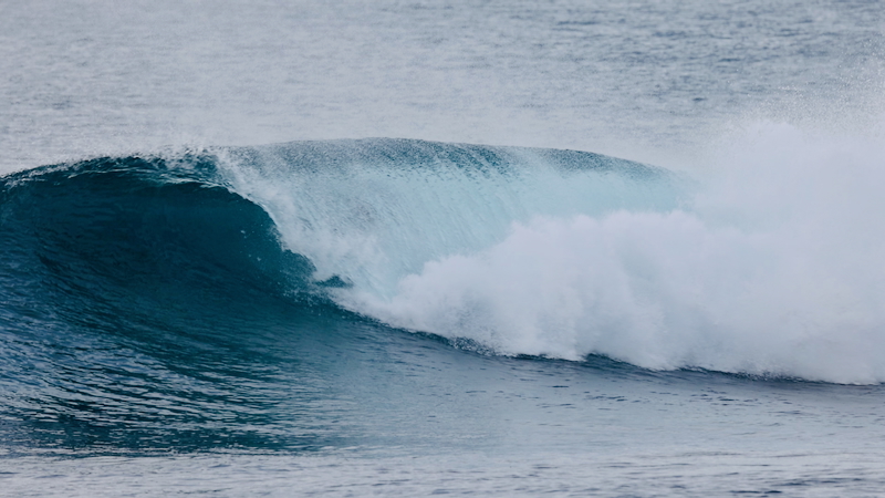 スクリーンショット 2025-11-13 15.31.12