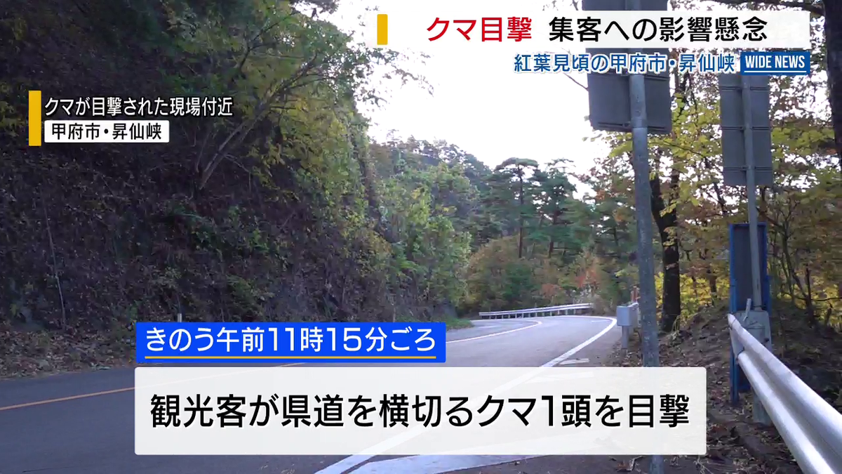 紅葉の昇仙峡でクマ目撃 集客への影響を懸念 「クマがいることはわかった」 状況に応じた対策を検討 山梨