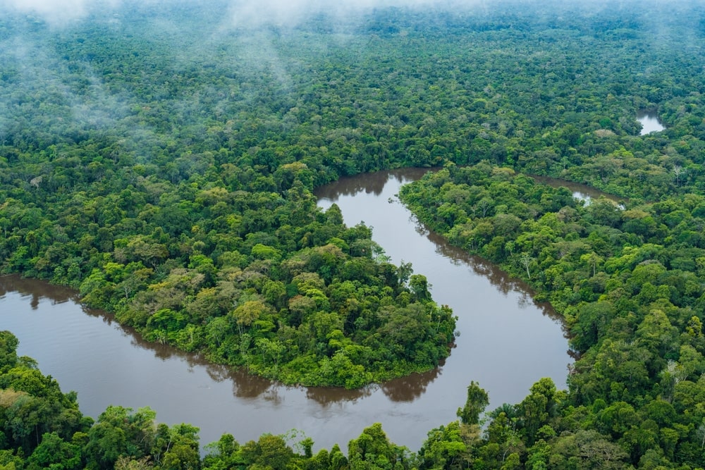 ブラジルで開催のCOP30。気候変動に関する国際交渉の争点は？ | 世界のソーシャルグッドなアイデアマガジン | IDEAS FOR GOOD