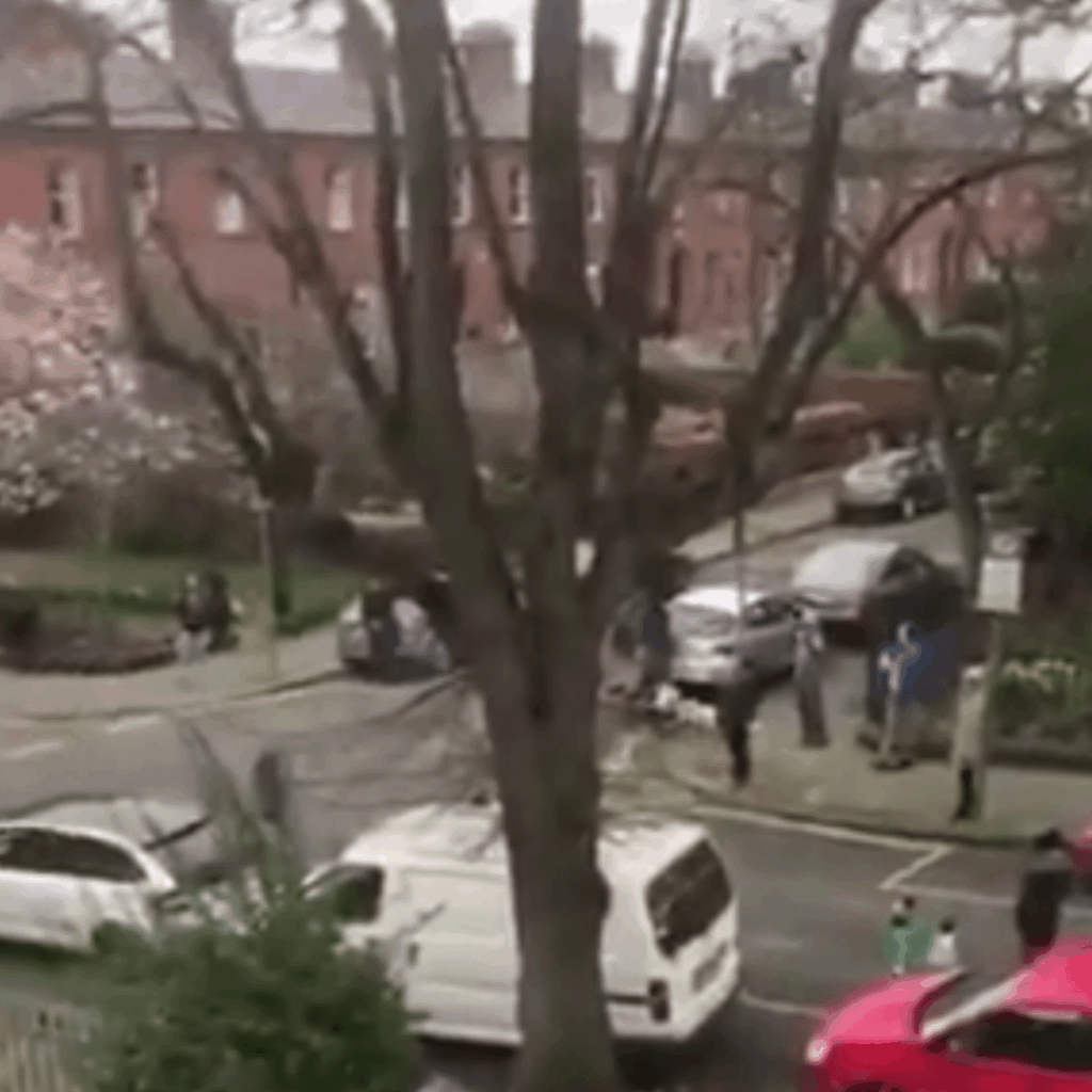 ダブリンの地下鉄に反対する人々と、最初のロックダウン中に家の外に立ってアイルランドの呼びかけを叫んだ人々のベン図は、ちょうど 1 つの円にすぎません。