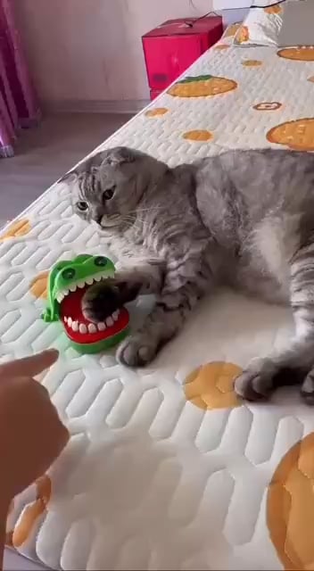 キャットボット