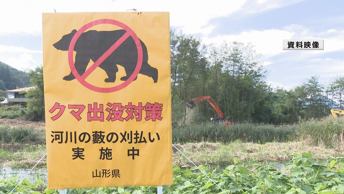 クマ出没の緊急対策　河川敷のやぶの刈り払い山形県内26か所追加　市街地に近いエリアに要望
