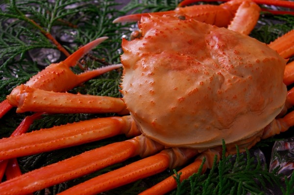 地魚工房 カニ販売会