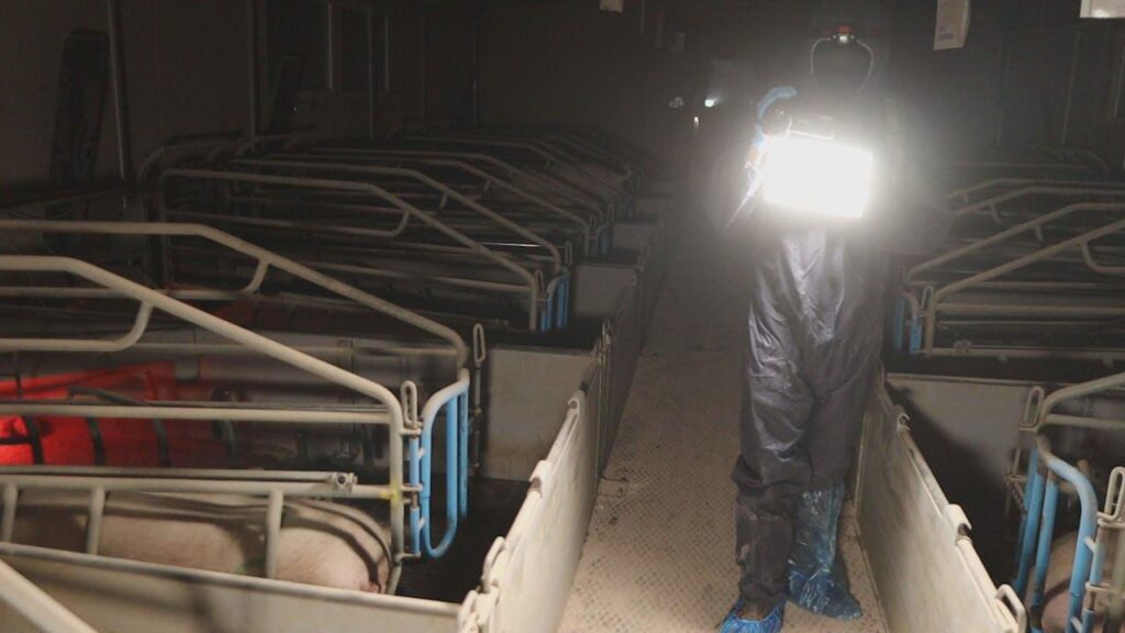 活動家らの納屋での撮影に農家が激怒