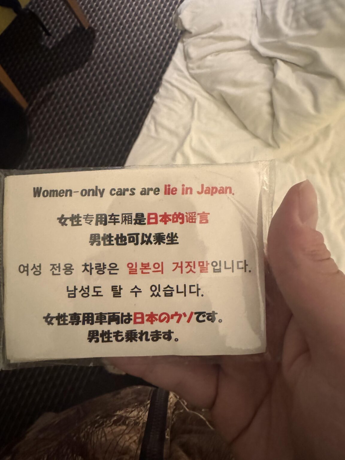 フェミニズムへの抗議というより、外国人を女性用車両に乗らせて混乱を起こし、ゼノフォビアを広めようという陰謀に見える