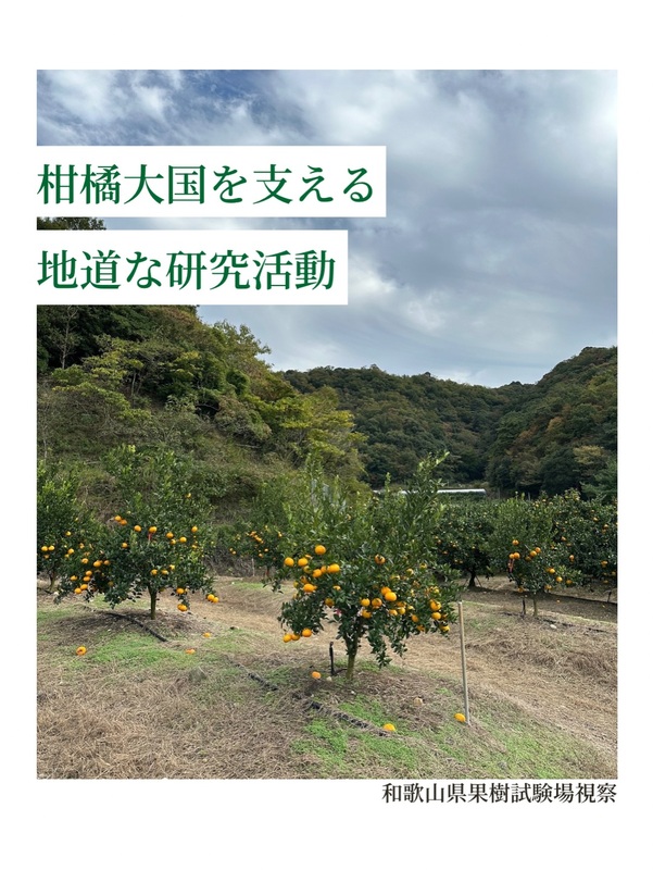 和歌山県果樹試験場（有田川町奥）を視察しました。 - 岩永あつし（イワナガアツシ） ｜ 選挙ドットコム