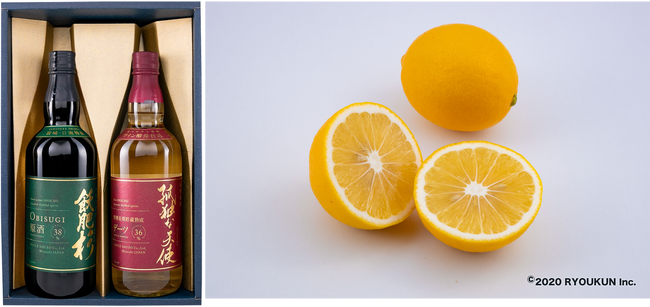 【ふるさと納税返礼品：「焼酎」編】宮崎県日南市の名産を堪能！おすすめ返礼品をご紹介 | 鹿児島・九州プレスリリース | 生活情報 | くらし