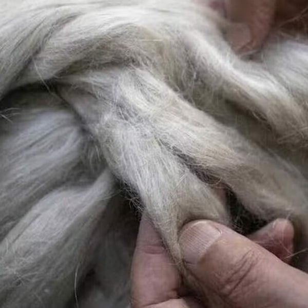 欧州連合(EU)、バイオエコノミー由来の素材の普及を加速すると約束 – FashionNetwork 日本 欧州連合(EU)、バイオエコノミー由来の素材の普及を加速すると約束 - FashionNetwork 日本