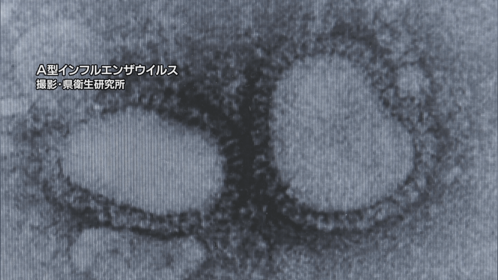 共有