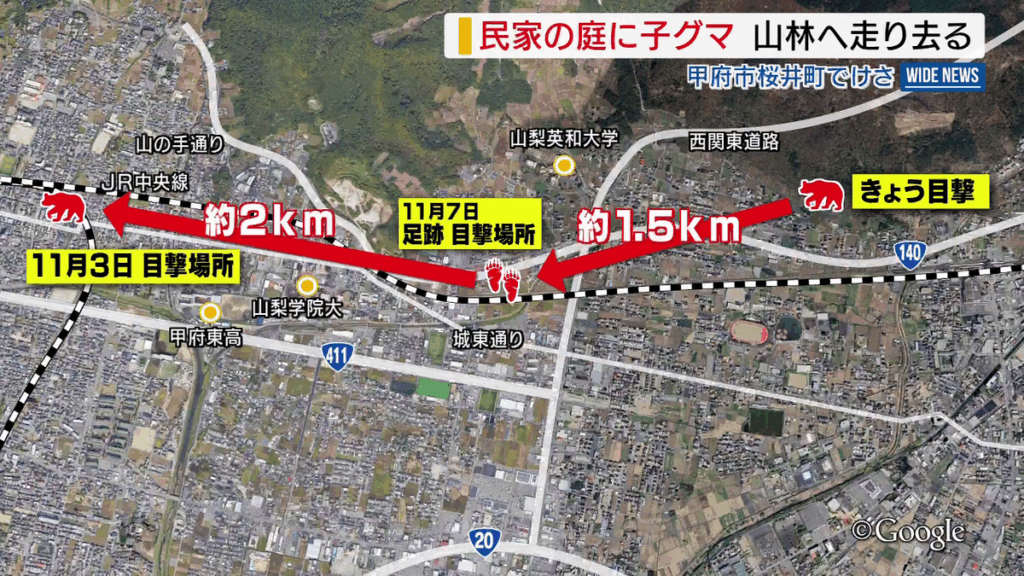 「まさか自分の家の庭に出るとは」 民家の庭に子グマ 山林へ走り去る イベント中止も 山梨・甲府市 共有