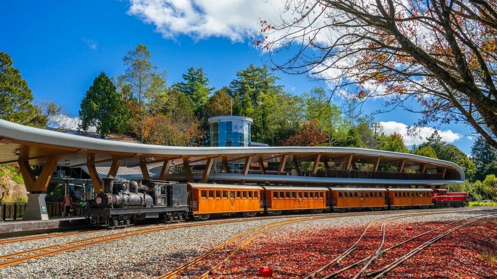 阿里山で秋を満喫　超限定の紅葉観賞列車、全5便でチケット争奪戦へ | 梁溶珈 | ニュース