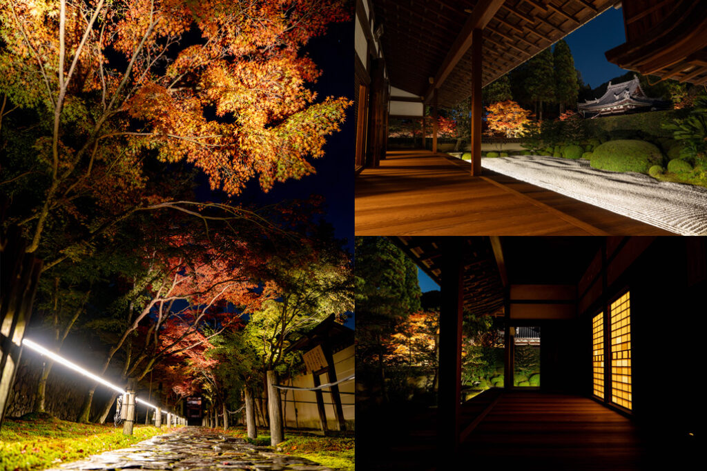 11月21日、「一休寺紅葉ライトアップ 2025」で特別な空間を味わってきました【京都府京田辺市】 – ALCO 宇治・城陽 山城地域の情報サイト 「一休寺紅葉ライトアップ 2025」の画像