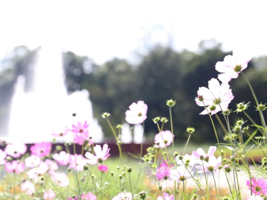 好き＆ビールを飲んでみたい「茨城県のクラフトビールブルワリー」ランキング！ 2位「木内酒造 手作りビール工房」、1位は？ | TRILL【トリル】