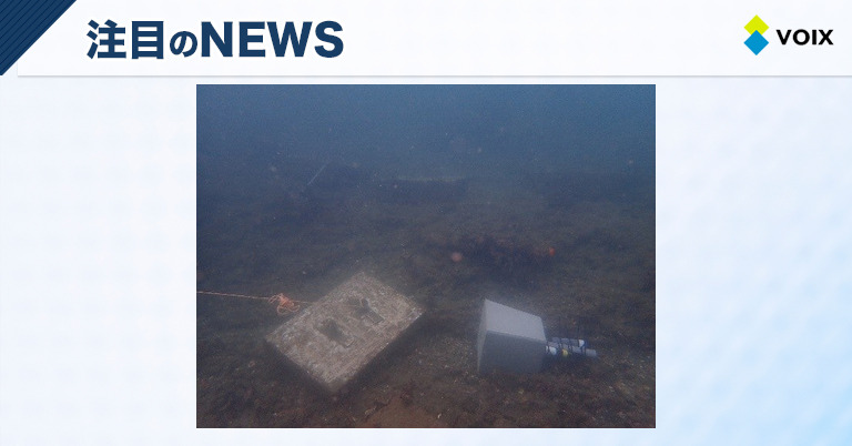 EREが千葉県で実施したセルロース活用の藻場造成実証、効果を確認