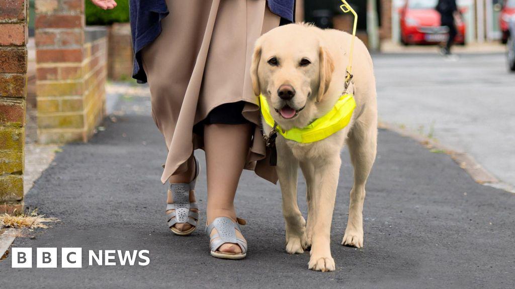 ブラッドフォード・ウーバーのタクシー運転手、盲導犬拒否で免許剥奪