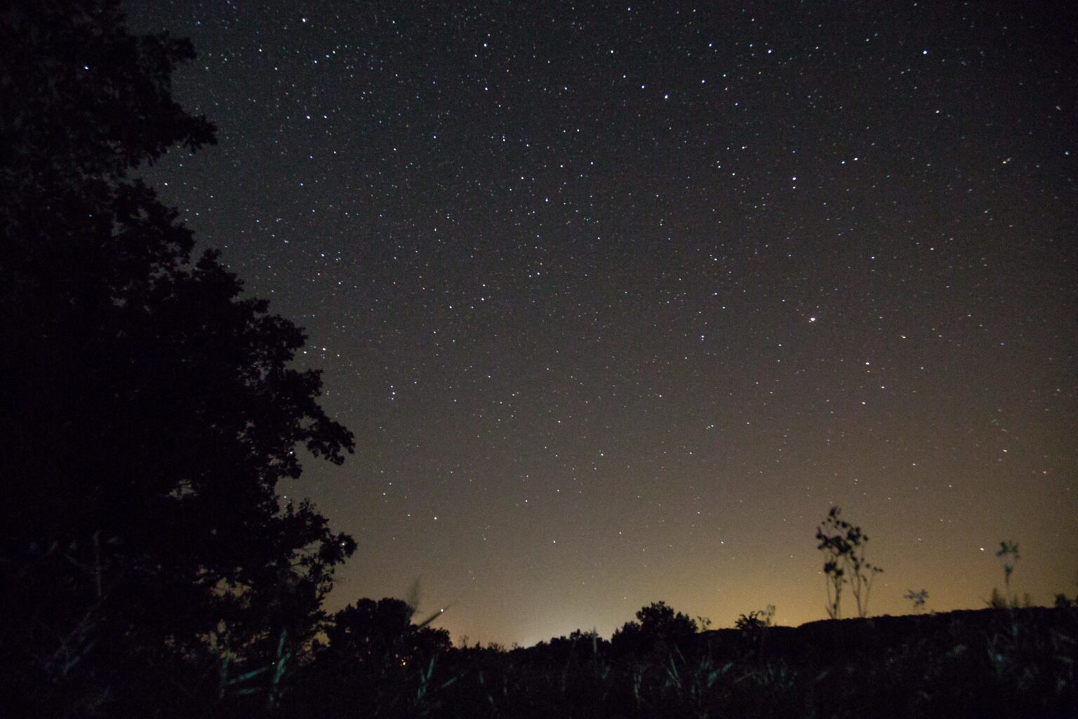 国内で夜空と星を見るのに最適な場所はどこですか?