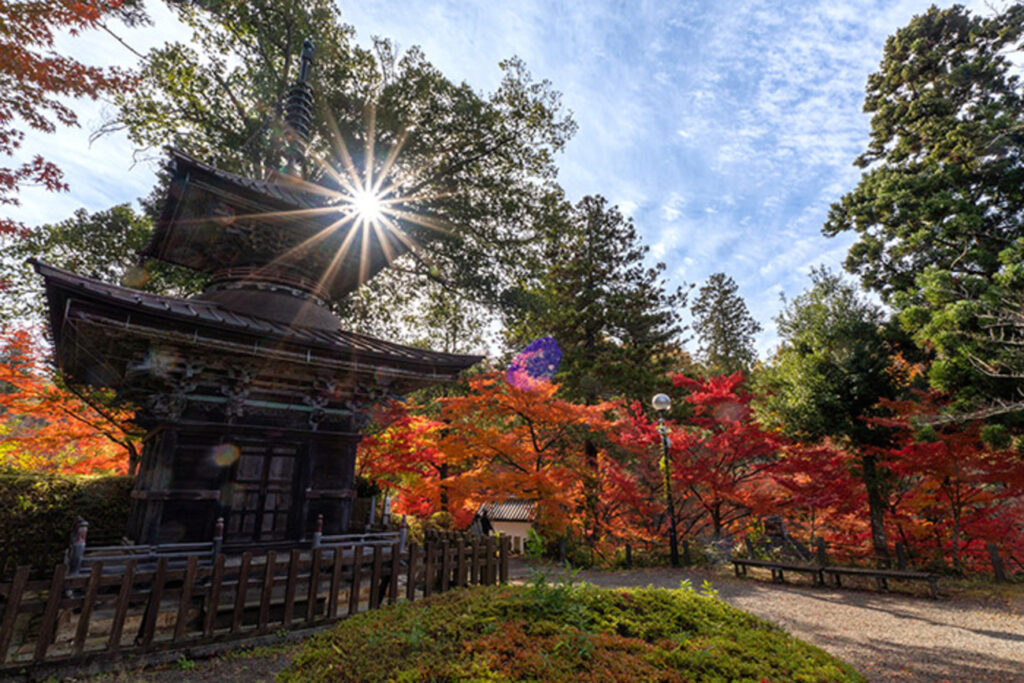 【福島の紅葉スポット】文知摺観音普門院で紅葉狩りをしてきました - sunsun fineな日々