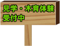 見学・木育体験受付中