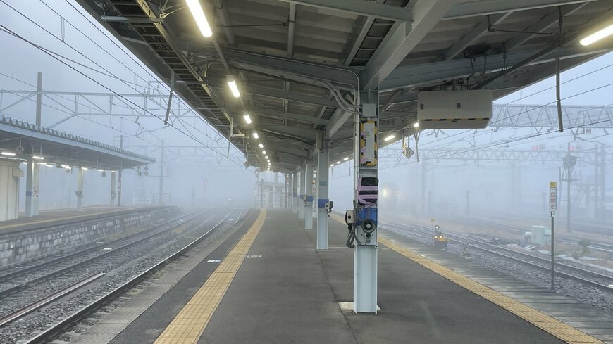 投稿の画像