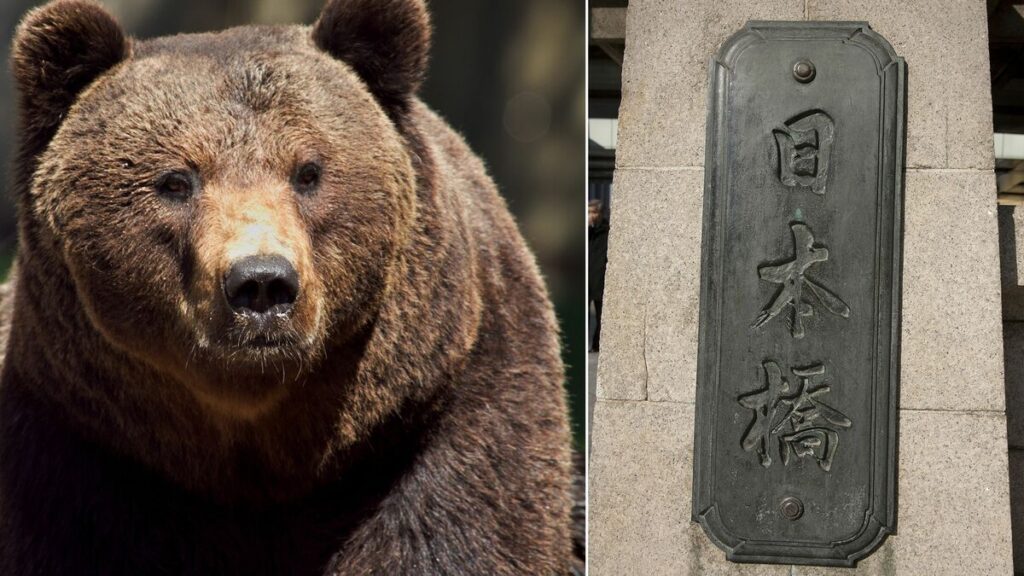 東京の日本橋で「巨大グマ」が大暴れ…秋田「イオンにクマ侵入」どころの騒ぎではない激ヤバ事件の結末 ノソノソと3人の若者を引きずり… | PRESIDENT Online(プレジデントオンライン) 東京の日本橋で「巨大グマ」が大暴れ…秋田「イオンにクマ侵入」どころの騒ぎではない激ヤバ事件の結末 ノソノソと3人の若者を引きずり… | PRESIDENT Online(プレジデントオンライン)