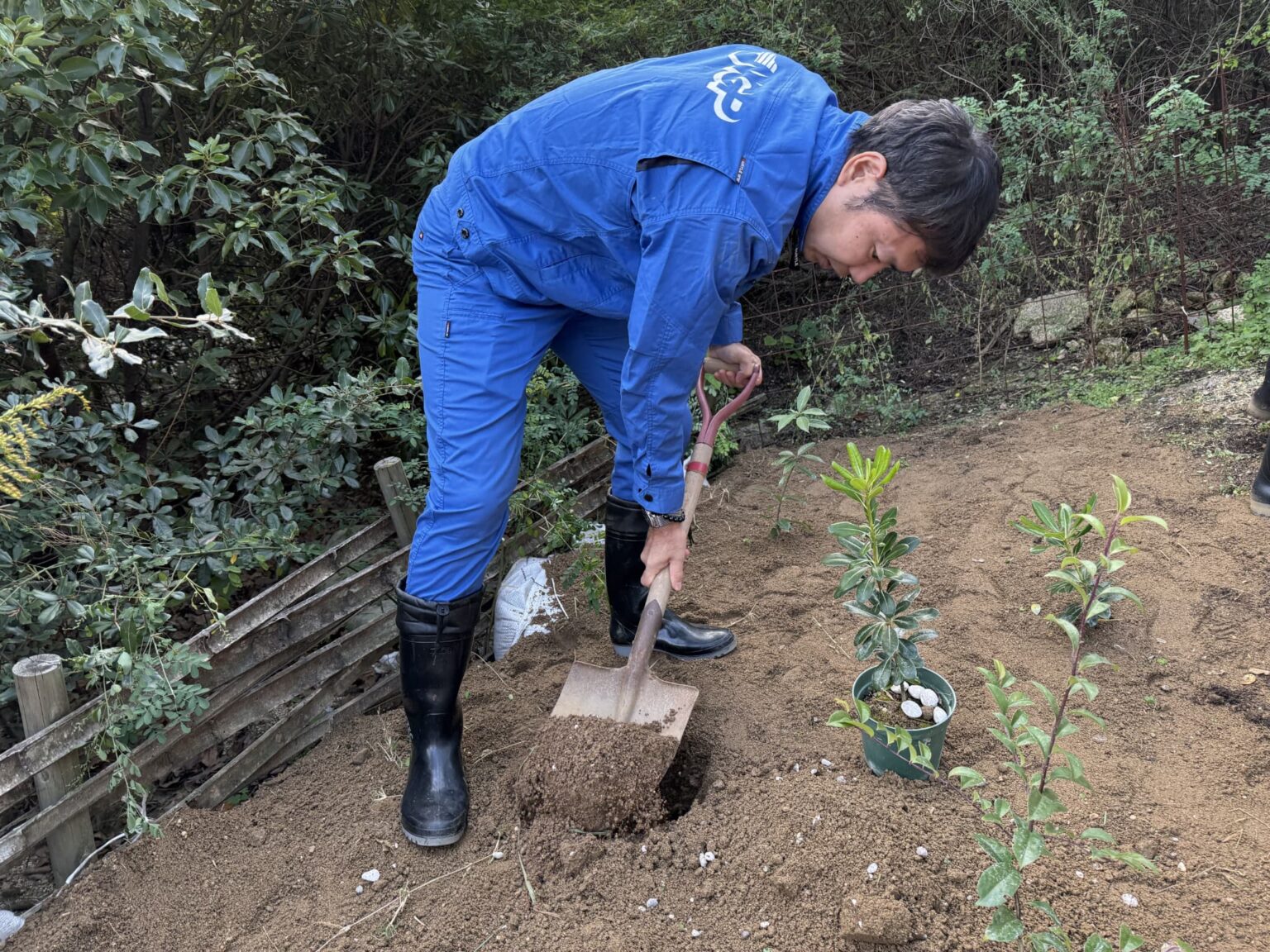 NGP協同組合 香川県豊島の環境保全・再生活動への取組が評価され、 「第13回グッドライフアワード」にて 「実行委員会特別賞 環境ひとづくり賞」を受賞 | NGP日本自動車リサイクル事業協同組合 atpress