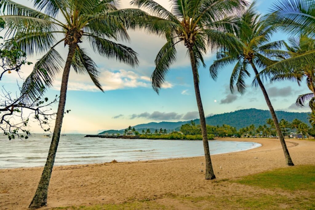 オーストラリアで愛犬と散歩中に見つけた巨大な足跡　「クマかと思った」「超大型犬のよう」と思わず目を疑う | LIMO | くらしとお金の経済メディア