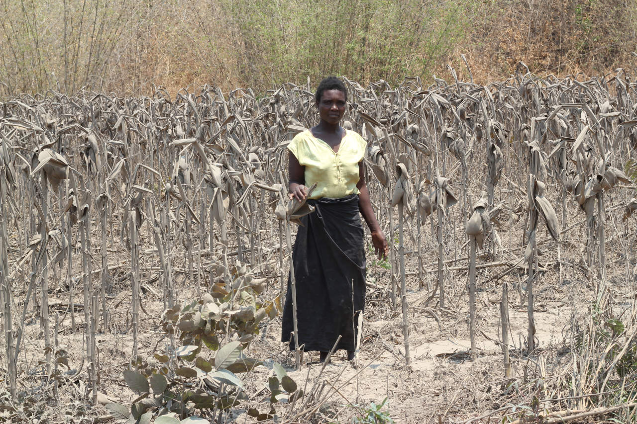 中国鉱山企業がアフリカで環境汚染、被害者に圧力