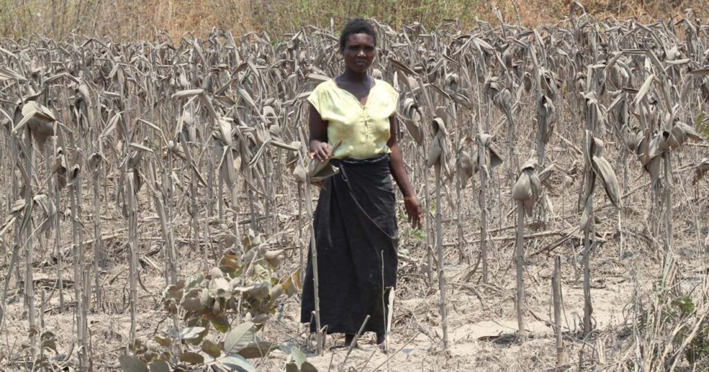 中国鉱山企業がアフリカで環境汚染、被害者に圧力 | WSJ PickUp | ダイヤモンド・オンライン 中国鉱山企業がアフリカで環境汚染、被害者に圧力 | WSJ PickUp | ダイヤモンド・オンライン