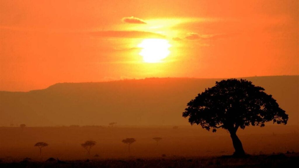 アフリカ諸国の相続税――なぜ最貧国にも相続税が?アフリカ諸国の“税の不思議”を探る【国際税務の専門家が解説】 | ゴールドオンライン アフリカ諸国の相続税――なぜ最貧国にも相続税が?アフリカ諸国の“税の不思議”を探る【国際税務の専門家が解説】 | ゴールドオンライン