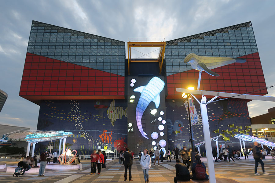 『海遊館イルミネーション2025』の様子（17時過ぎ／大阪市港区／Lmaga.jp撮影）