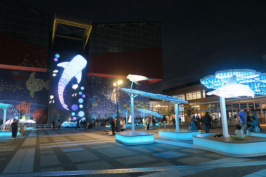 海遊館の冬限定イベント、「光と音のショー」は無料で観覧ＯＫ | Lmaga.jp