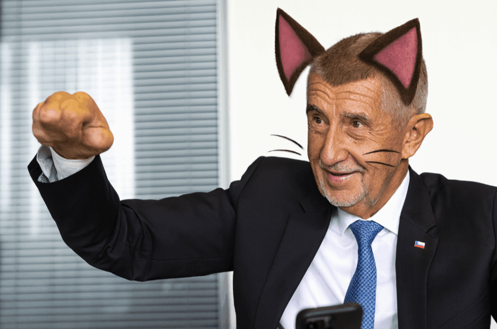 もし下院の代わりに下院があり、嫌いな人の代わりに子猫がいたらどうなるでしょうか⁉️