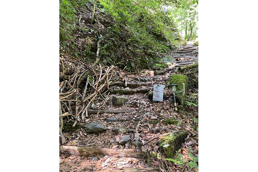 京都市内の「山」で、高齢者やインバウンド客の無謀な登山による「遭難」や「事故」が後を絶たないという（画像提供：月輪寺【公式】）