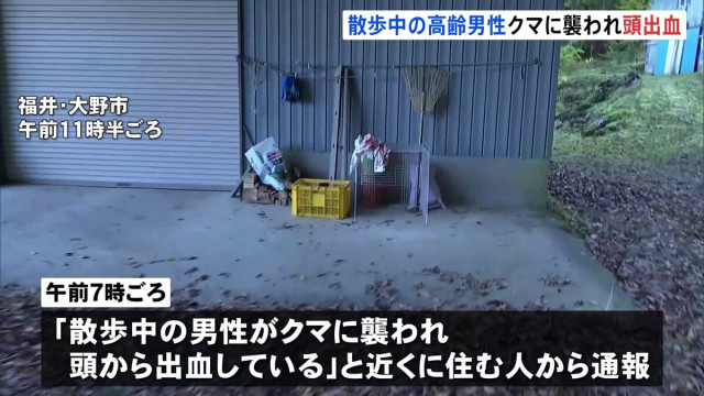 「後ろからガクンとやられた」散歩中の男性がクマに襲われ頭から出血 福井・大野市 高齢男性が搬送 クマは山へ逃げたか