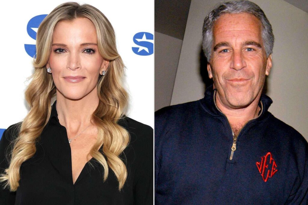 メーガン・ケリー、ジェフリー・エプスタインは「15歳の少女が好きだった」ため「小児性愛者ではなかった」と語る