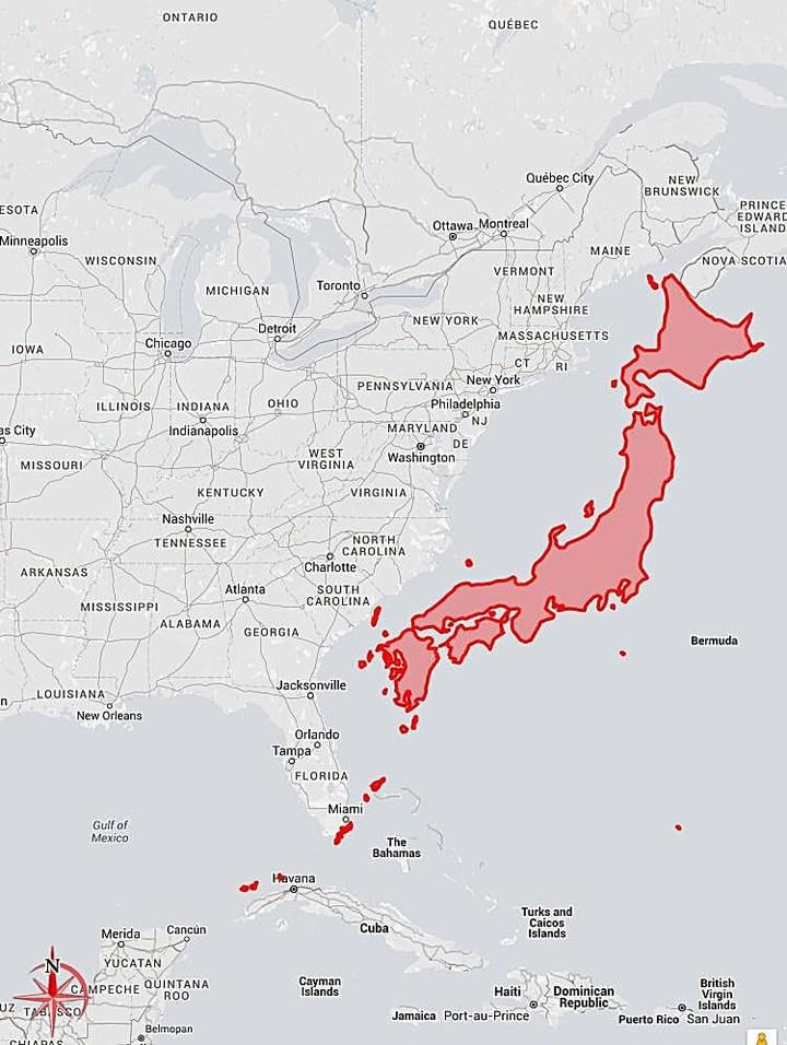 日本のサイズ感