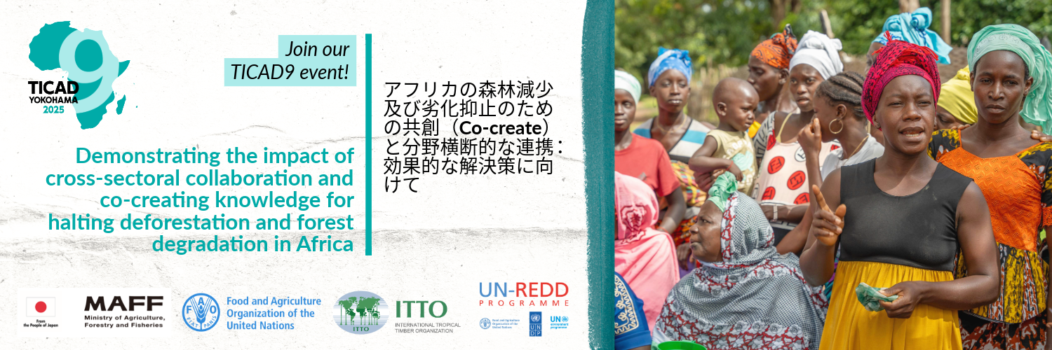 NFO.8.21.TICAD9 banner.