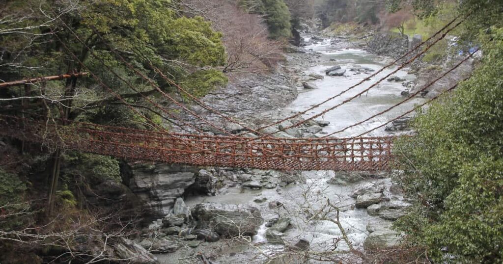 「祖谷のかずら橋」転落は静岡の75歳男性、足を滑らせたか
