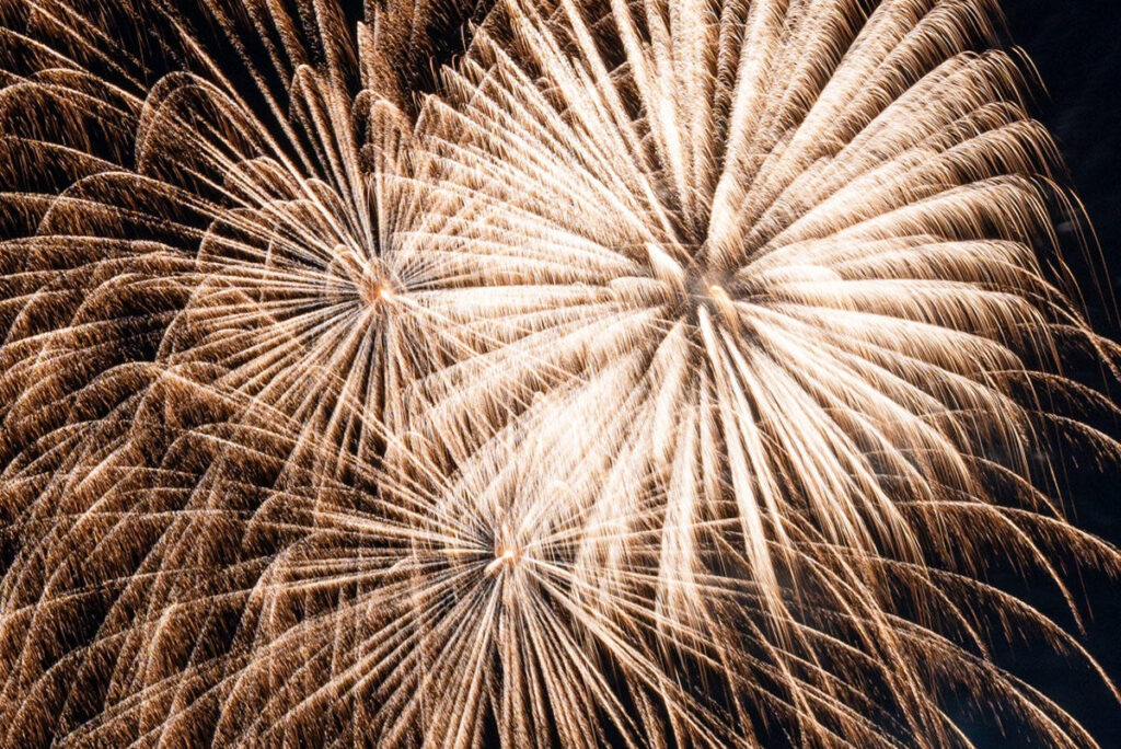 【2025】鹿児島・霧島「福山みなと祭り」 が本日開催！花火の打ち上げも | 夜景FANマガジン