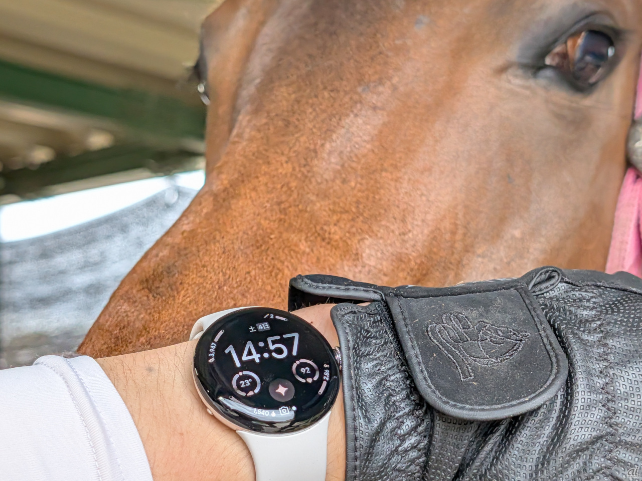 Pixel Watch 4は乗馬で使えるのか？