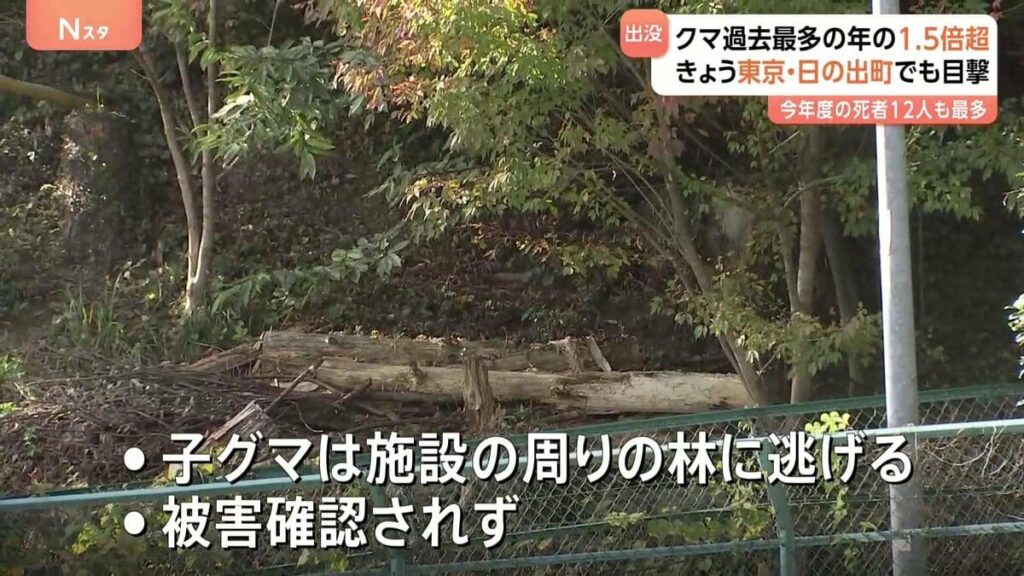 東京でもクマ目撃 日の出町のごみ処理施設付近の林に逃げたか 今年度のツキノワグマ出没件数“1.5倍増加”